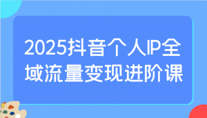 2025抖音个人IP全域流量变现进阶课：选爆品、抖音付费投流、千川投流实操及优化等-康仁安资源