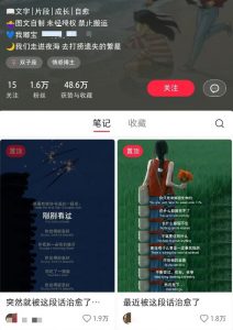 小红书治愈文案图文笔记，零门槛，一分钟制作轻松制作爆款作品月入万元-康仁安资源