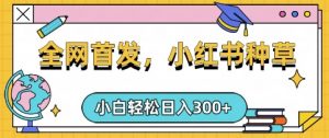 小红书种草，手机项目，日入3张，复制黏贴即可，可矩阵操作，动手不动脑【揭秘】-康仁安资源