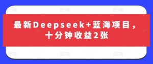 最新Deepseek+蓝海项目，十分钟收益2张-康仁安资源