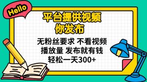平台提供视频 你发布 无粉丝要求 不看视频播放量 发布就有钱 轻松一天300+-康仁安资源