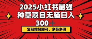 2025小红书最强种草项目，无脑日入300+，复制粘帖即可，多劳多得-康仁安资源