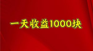 一天收益1000+ 稳定项目，可以做视频号，也可以做快手抖音-康仁安资源