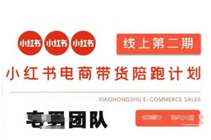 小红书电商带货课2期，月利润20个的小红书电商的有货源，无货源，虚拟产品，付费投流等整套玩法-康仁安资源