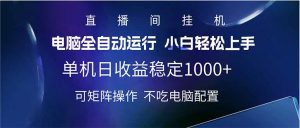 2025直播间最新玩法单机日入1000+ 全自动运行 可矩阵操作-康仁安资源