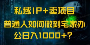 私域IP+卖项目，普通人如何做到宅家办公实现日入1000+-康仁安资源