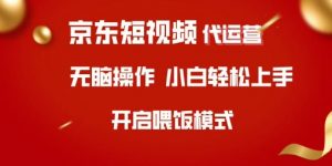 京东短视频代运营，全程喂饭，小白轻松上手【揭秘】-康仁安资源