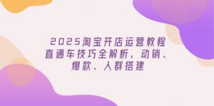 2025淘宝开店运营教程更新，直通车技巧全解析，动销、爆款、人群搭建-康仁安资源