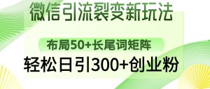 微信引流裂变新玩法：布局50+长尾词矩阵，轻松日引300+创业粉-康仁安资源