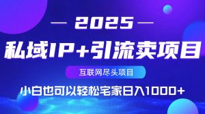 私域IP+引流卖项目，小白也可以做到轻松宅家日入1000+-康仁安资源