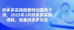 拼多多实操陪跑特训营弟子班，2025年2月拼多多实操课程，海量拼多多玩法-康仁安资源