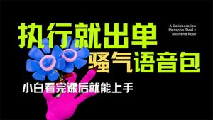爆火全网的开车导航骚气语音包,只要执行就出单，小白看完课程就能实操...-康仁安资源