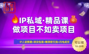 2025年“IP私域·密训精品课”，日赚3000+小白避坑年赚百万，暴力引流...-康仁安资源