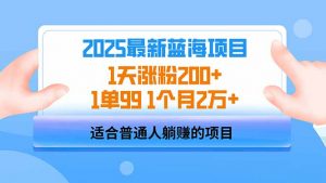2025蓝海项目 1天涨粉200+ 1单99 1个月2万+-康仁安资源