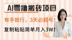 AI零撸搬砖项目玩法，有手就行，3天必起号，复制粘贴简单月入3W！-康仁安资源
