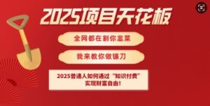 2025项目天花板普通人如何通过知识付费，实现财F自由【揭秘】-康仁安资源