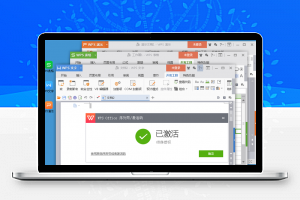 WPS Office 2023专业增强版-康仁安资源