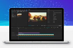 视频编辑工具 CapCut剪映国际版 v7.9.0.3294 中文版-康仁安资源