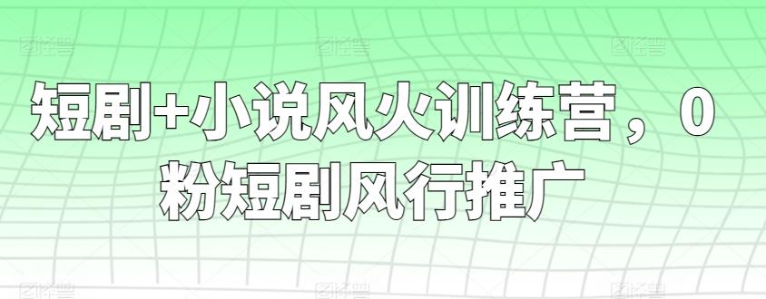 短剧+小说风火训练营，0粉短剧风行推广-康仁安资源