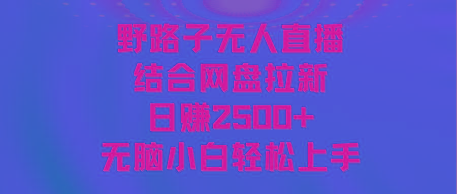 无人直播野路子结合网盘拉新，日赚2500+多平台变现，小白无脑轻松上手操作-康仁安资源