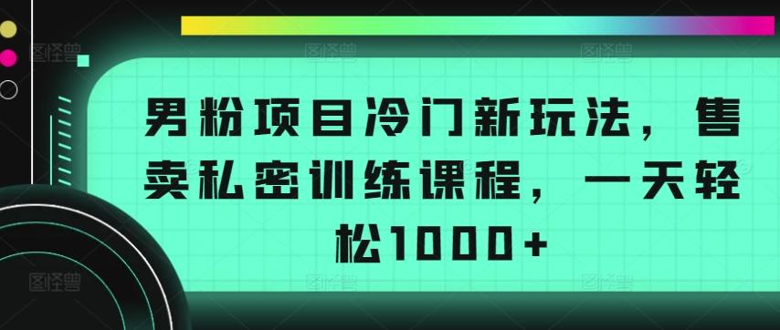 男粉项目冷门新玩法，售卖私密训练课程，一天轻松1000+【揭秘】-康仁安资源