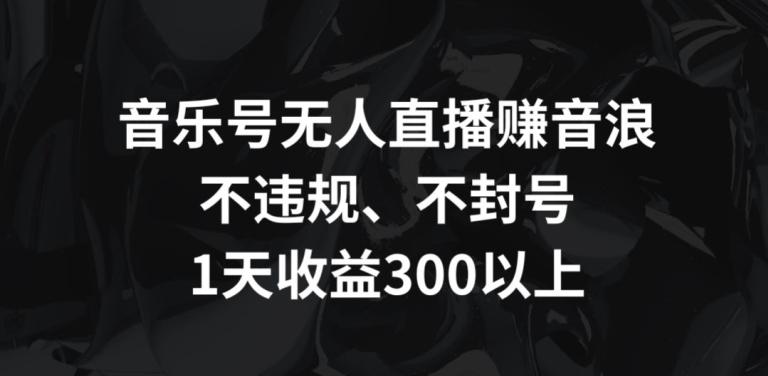 音乐号无人直播赚音浪，不违规、不封号，1天收益300+【揭秘】-康仁安资源