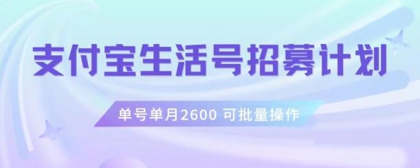 支付宝生活号作者招募计划，单号单月2600，可批量去做，工作室一人一个月轻松1w+【揭秘】-康仁安资源