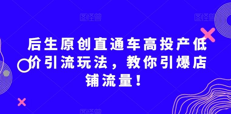 后生原创直通车高投产低价引流玩法，教你引爆店铺流量！-康仁安资源