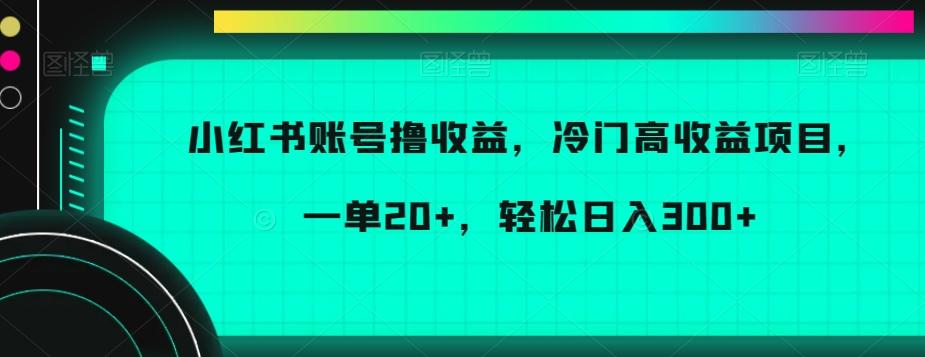 小红书账号撸收益，冷门高收益项目，一单20+，轻松日入300+【揭秘】-康仁安资源
