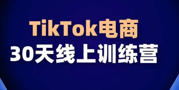 TikTok电商带货30天线上课，不可错过的全球流量洼地！-康仁安资源
