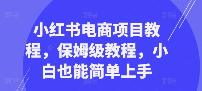 小红书电商项目教程，保姆级教程，小白也能简单上手-康仁安资源