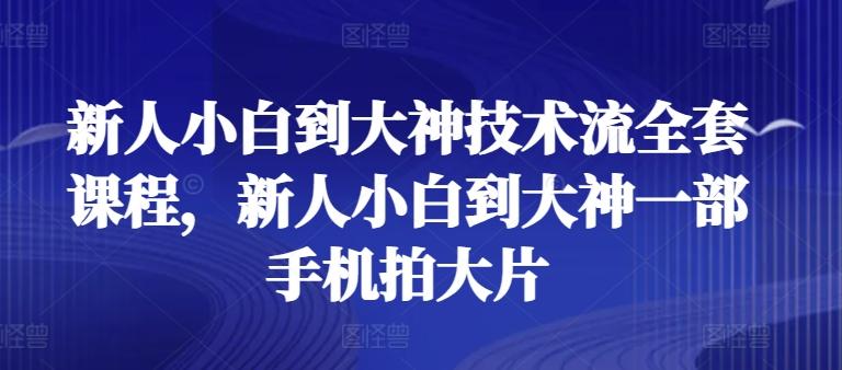 新人小白到大神技术流全套课程，新人小白到大神一部手机拍大片-康仁安资源