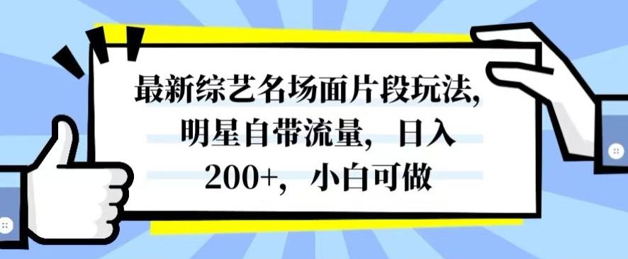 最新综艺名场面片段玩法，明星自带流量，日入200+，小白可做【揭秘】-康仁安资源