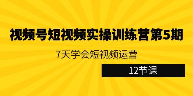 视频号短视频实操训练营第5期：7天学会短视频运营(12节课)-康仁安资源