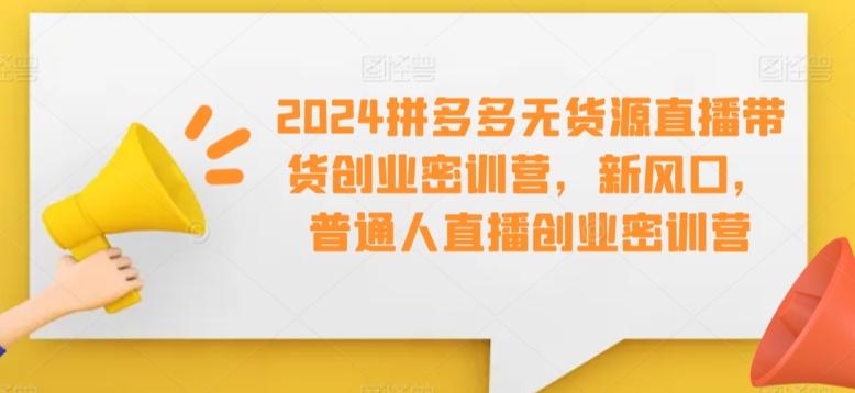 2024拼多多无货源直播带货创业密训营，新风口，普通人直播创业密训营-康仁安资源