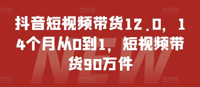 抖音短视频带货12.0，14个月从0到1，短视频带货90万件-康仁安资源