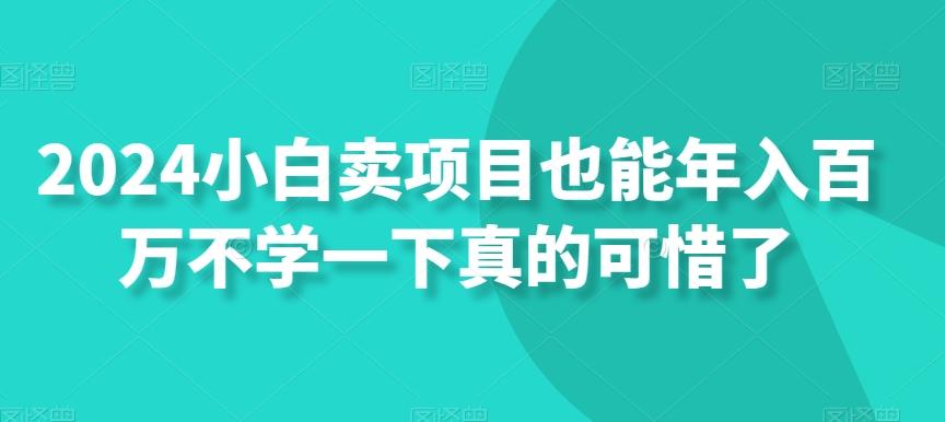 2024小白卖项目也能年入百万不学一下真的可惜了-康仁安资源