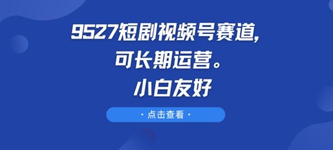 9527短剧视频号赛道，可长期运营，小白友好【揭秘】-康仁安资源