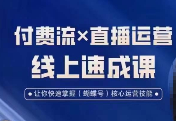 视频号付费流实操课程，付费流✖️直播运营速成课，让你快速掌握视频号核心运营技能-康仁安资源