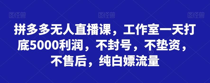 拼多多无人直播课，工作室一天打底5000利润，不封号，不垫资，不售后，纯白嫖流量-康仁安资源