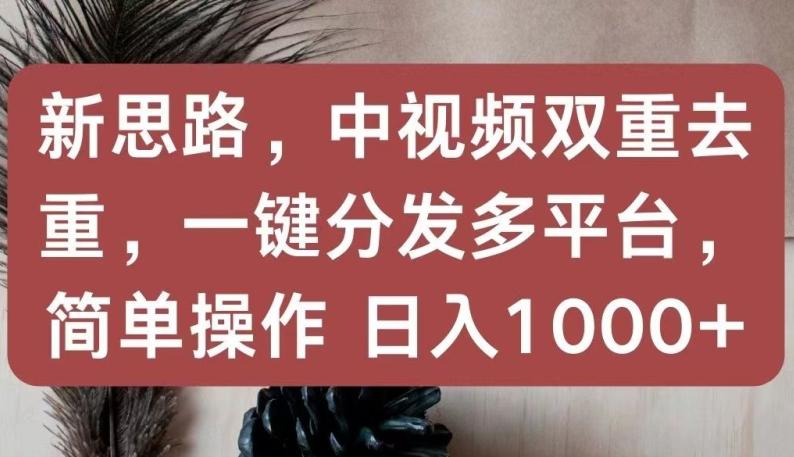 新思路，中视频双重去重，一键分发多平台，简单操作，日入1000+【揭秘】-康仁安资源
