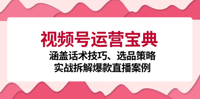 视频号运营宝典：涵盖话术技巧、选品策略、实战拆解爆款直播案例-康仁安资源