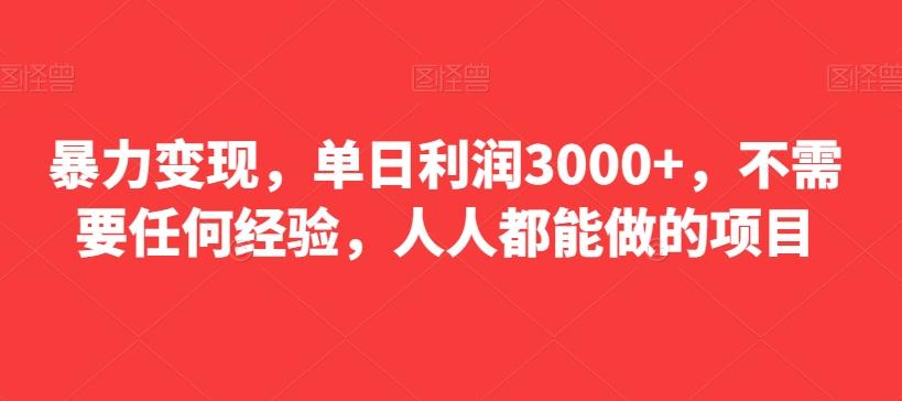 暴力变现，单日利润3000+，不需要任何经验，人人都能做的项目-康仁安资源