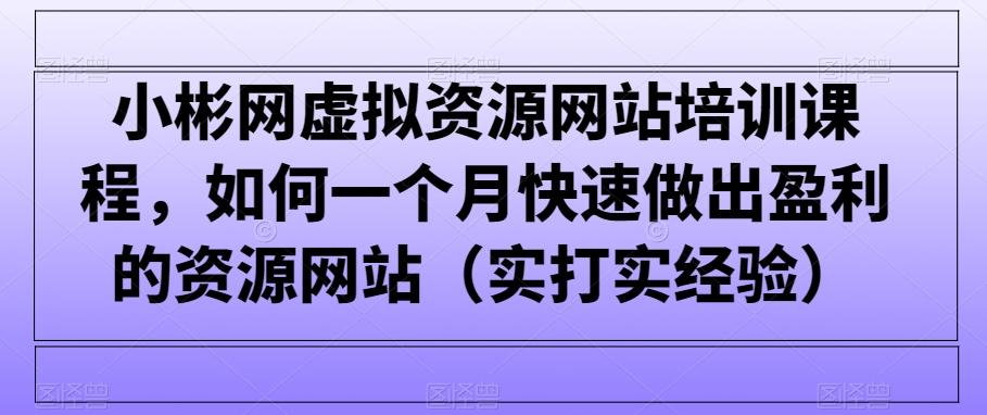 小彬网虚拟资源网站培训课程，如何一个月快速做出盈利的资源网站(实打实经验)-康仁安资源