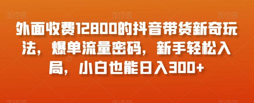 外面收费12800的抖音带货新奇玩法，爆单流量密码，新手轻松入局，小白也能日入300+【揭秘】-康仁安资源