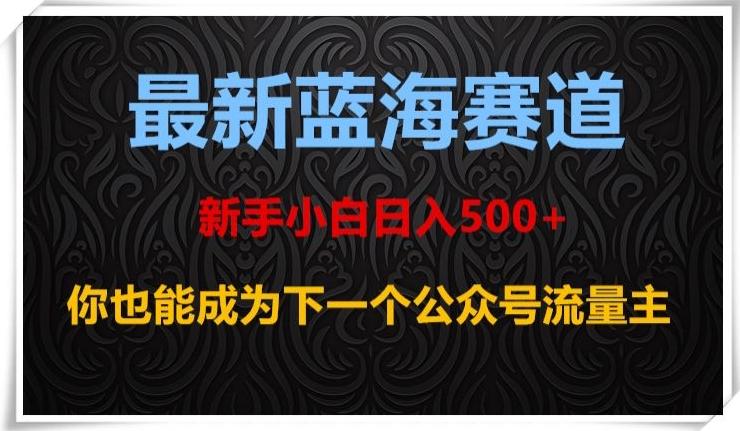 最新蓝海赛道，新手小白日入500+，你也能成为下一个公众号流量主【揭秘】-康仁安资源