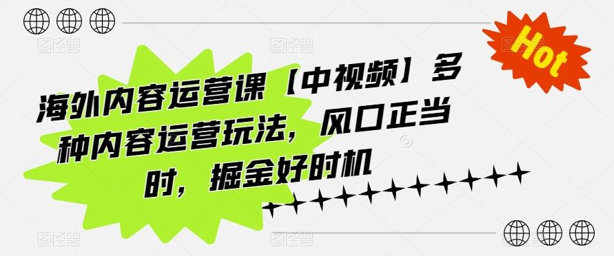 海外内容运营课【中视频】多种内容运营玩法，风口正当时，掘金好时机-康仁安资源