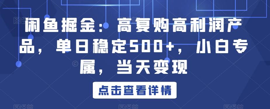 闲鱼掘金：高复购高利润产品，单日稳定500+，小白专属，当天变现-康仁安资源