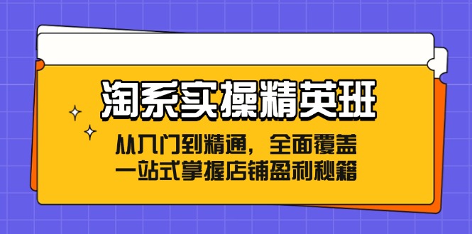 淘系实操精英班：从入门到精通，全面覆盖，一站式掌握店铺盈利秘籍-康仁安资源