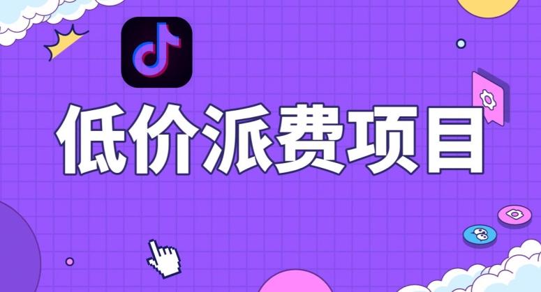 抖音低价派单项目，0门槛，日入1000+很轻松，小白可操作【揭秘】-康仁安资源